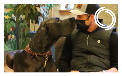 Dempsey Dog Meet + Greet: Forest [Rock Row]