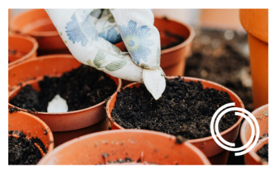 Connect + Experience: Sow + Grow [Rock Row]